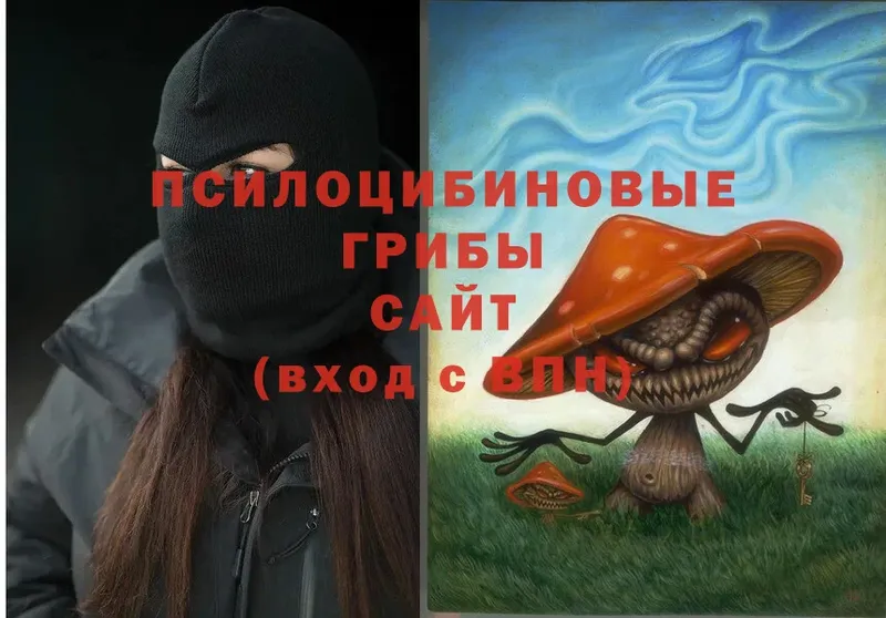 где купить наркотик  Давлеканово  гидра зеркало  Галлюциногенные грибы Magic Shrooms 