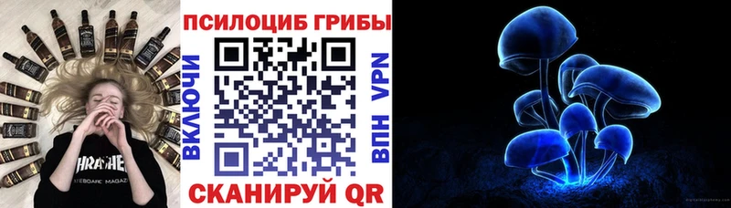 купить наркотик Давлеканово mega зеркало Галлюциногенные грибы Magic Shrooms