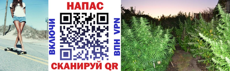 Канабис индика  Давлеканово 